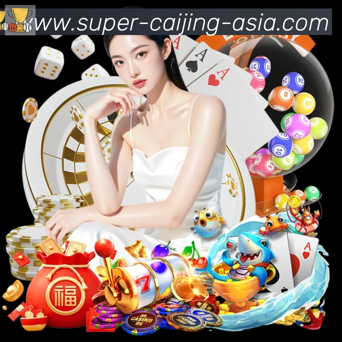 彩经网服务体系